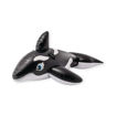 Picture of RIDE-ON 187CM WHALE